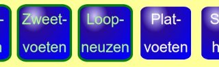 Vergrote tekst in de knoppen staat niet over elkaar heen.