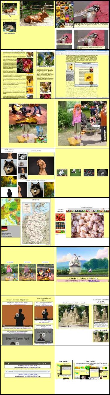 Thumbnails van voorbeelden uit de categorie afbeelding.